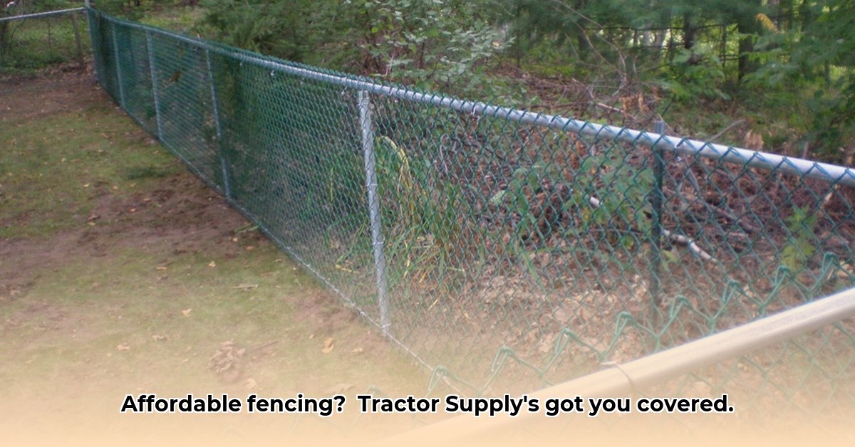 chain-link-fence-at-tractor-supply